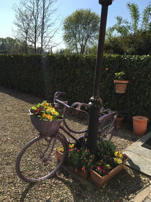 Agriturismo Cascina Nuova Valenza Exterior photo